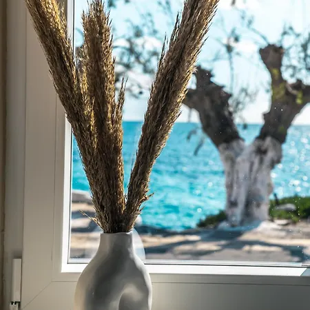 Zafeiropoulos Holiday home *