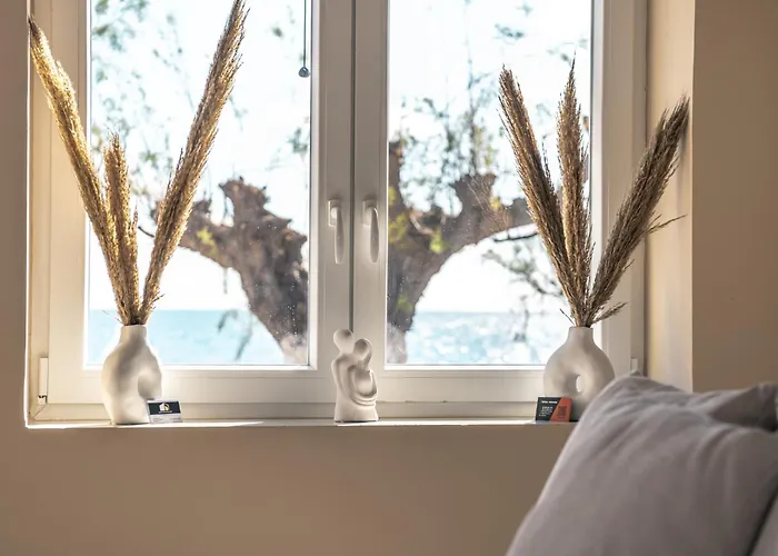 別荘 Zafeiropoulos マラトポリス