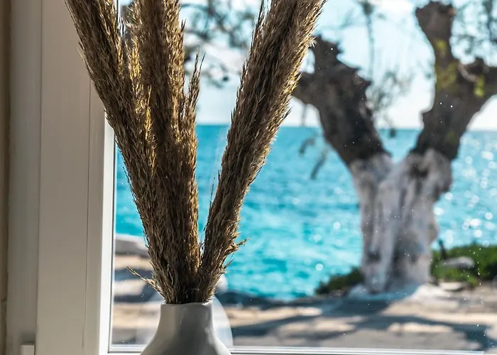 Zafeiropoulos 別荘 *